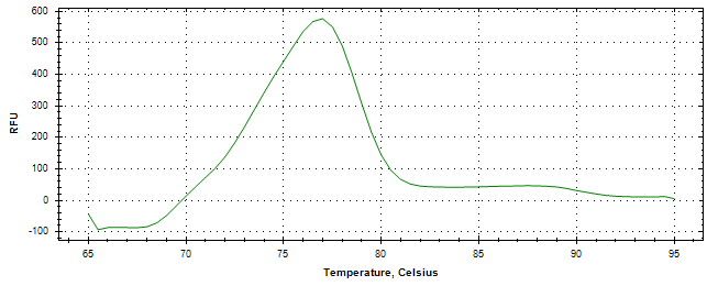 Melt curve analysis of above amplification.